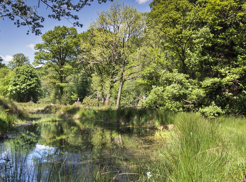 Ballyteige Lodge Ballyteige Bridge Dış mekan fotoğraf