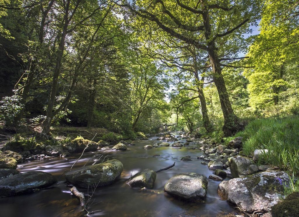 Ballyteige Lodge Ballyteige Bridge Dış mekan fotoğraf