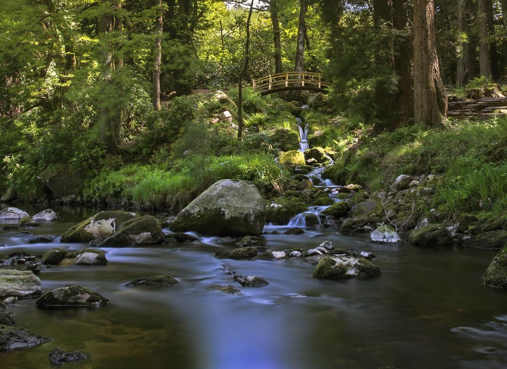 Ballyteige Lodge Ballyteige Bridge Dış mekan fotoğraf