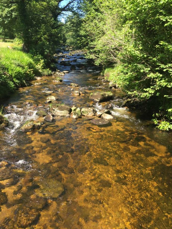 Ballyteige Lodge Ballyteige Bridge Dış mekan fotoğraf